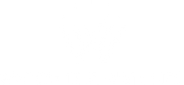 Watch The Watches