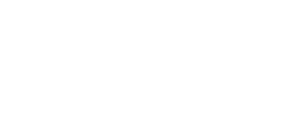 Watch The Watches
